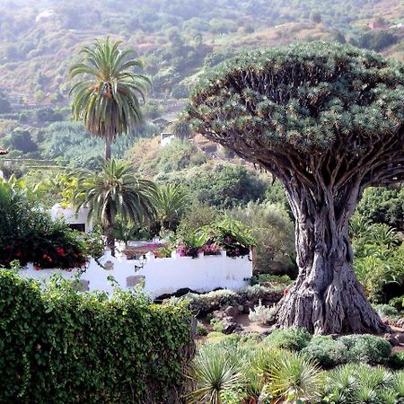 伊科德·德·洛斯·维诺斯El Rincon With Teide View III公寓 外观 照片